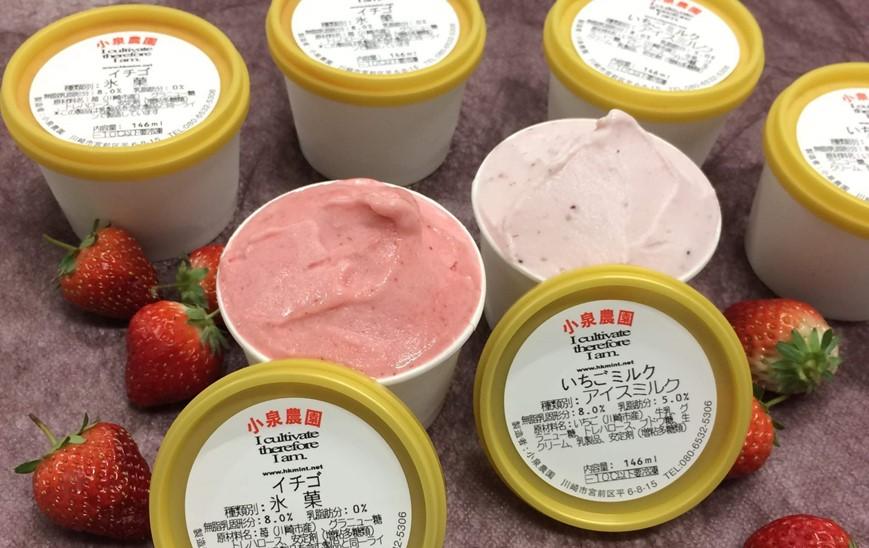 小泉農園ジェラートとイチゴ削り　8個セット