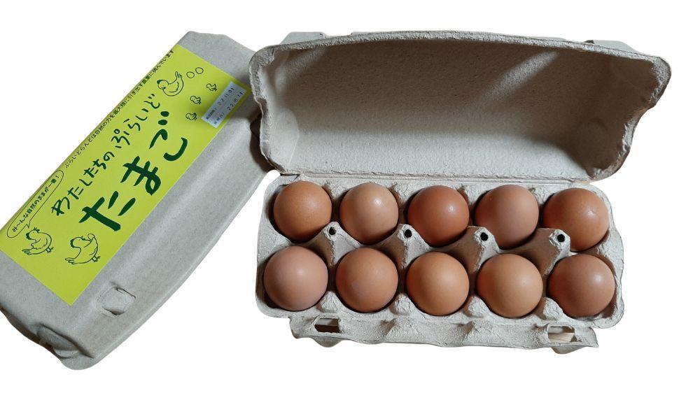 【定期便：6か月】単なる平飼いではない究極の卵『わたしたちのぷらいどたまご』3パック（30個）セット