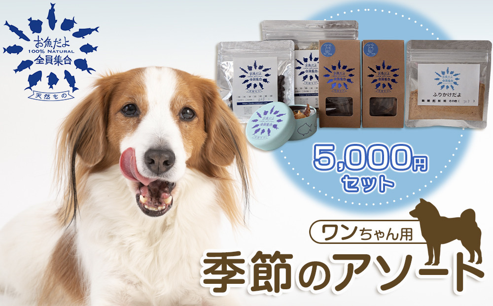 お魚だよ全員集合　季節のアソートセット 5,000円セット　ワンちゃん用｜ペット おやつ 犬 ペットフード