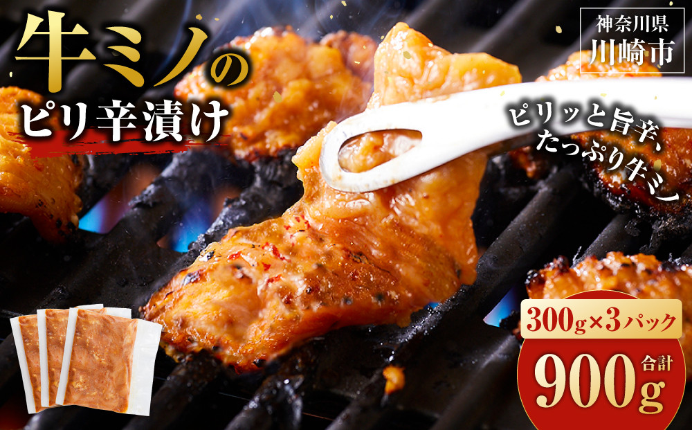 【2026年７月発送】牛ミノのピリ辛漬け300ｇ×3P　合計900ｇ 【2026年7月発送】 900g ( 300g × 3パック )