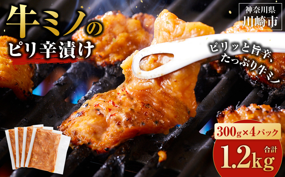 牛ミノ ピリ辛漬け 1.2kg ( 300g × 4パック ) 小分け 個包装 便利 牛肉 ホルモン ミノ 焼肉 焼き肉 お肉 肉 焼くだけ 冷凍 たれ 味付き BBQ アウトドア キャンプ 人気 おすすめ 神奈川 川崎【順次発送】 【順次発送】原則1～2週間以内に発送 1.2kg ( 300g × 4パック )