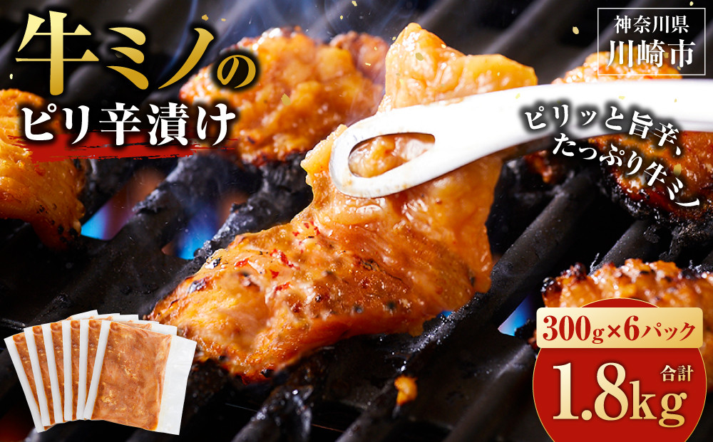 牛ミノ ピリ辛漬け 1.8kg ( 300g × 6パック ) 小分け 個包装 便利 牛肉 ホルモン ミノ 焼肉 焼き肉 お肉 肉 焼くだけ 冷凍 たれ 味付き BBQ アウトドア キャンプ 人気 おすすめ 神奈川 川崎【順次発送】 【順次発送】原則1～2週間以内に発送 1.8kg ( 300g × 6パック )