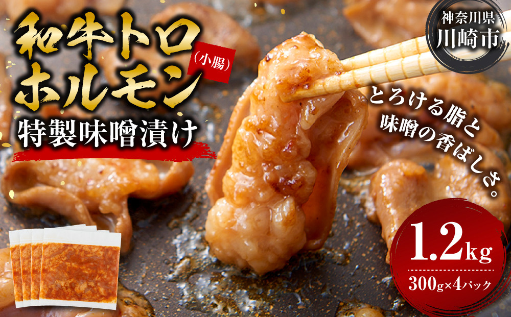 ＜訳アリ＞和牛トロホルモン　特製味噌漬け　1.2kg(300g×4）【2025年11月発送】