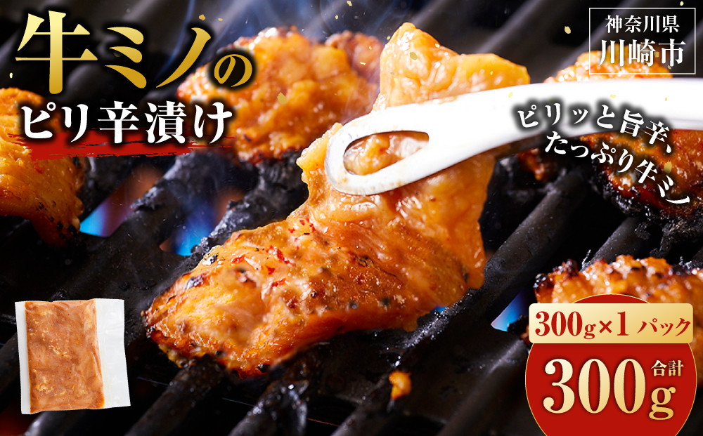牛ミノ ピリ辛漬け 300g ( 300g × 1パック ) 【12月発送】小分け 個包装 便利 牛肉 ホルモン ミノ 焼肉 焼き肉 お肉 肉 焼くだけ 冷凍 たれ 味付き BBQ アウトドア キャンプ 人気 おすすめ 神奈川 川崎【kw0096-0029-12】