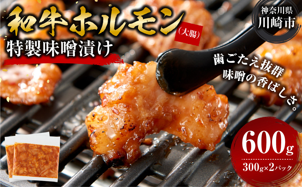 ＜訳アリ＞和牛ホルモン（大腸）　特製味噌漬け　0.6kg(300g×2）【2026年6月発送】 【2026年6月発送】 600g ( 300g × 2パック ）