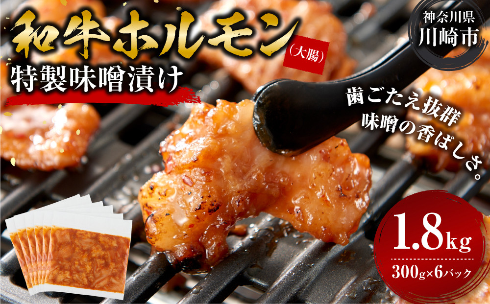 ＜訳アリ＞和牛ホルモン（大腸）　特製味噌漬け　1.8kg(300g×6）【2026年4月発送】 【2026年4月発送】 1.8kg ( 300g × 6パック ）