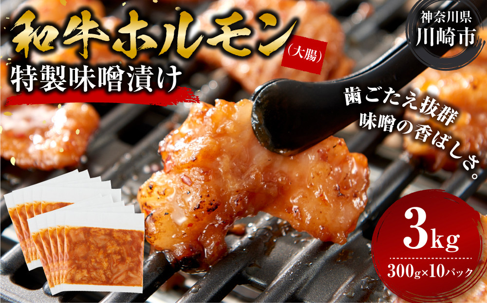 ＜訳アリ＞和牛ホルモン（大腸）　特製味噌漬け　3kg(300g×10） 【順次発送】原則1か月以内に発送 3.0kg ( 300g × 10パック ）
