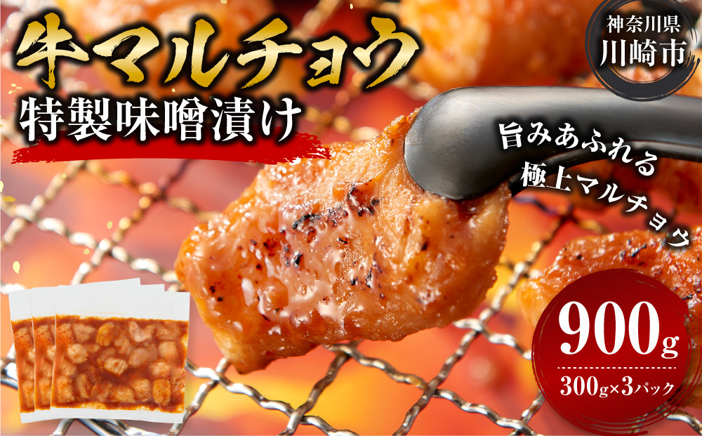 ＜訳アリ＞牛マルチョウ　特製味噌漬け　0.9kg(300g×3） 【順次発送】原則1か月以内に発送 900g ( 300g × 3パック )