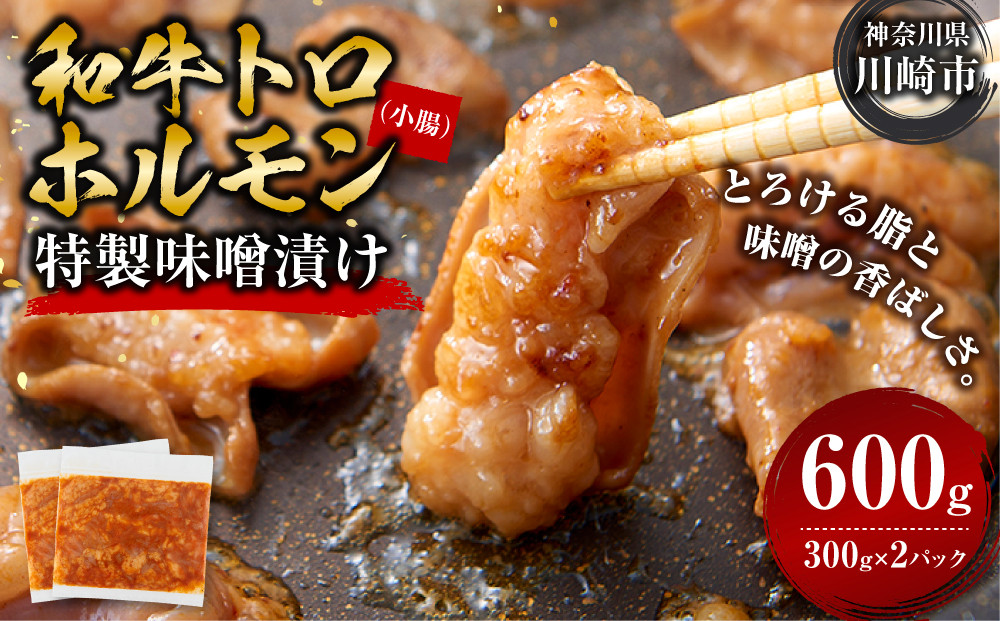 ＜訳アリ＞和牛トロホルモン　特製味噌漬け　0.6kg(300g×2） 【順次発送】原則1か月以内に発送 600g ( 300g × 2パック ）