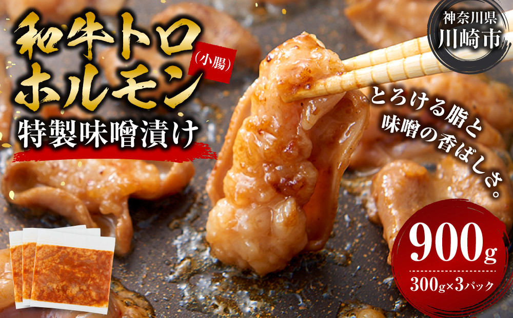 ＜訳アリ＞和牛トロホルモン　特製味噌漬け　0.9kg(300g×3） 【順次発送】原則1か月以内に発送 900g ( 300g × 3パック ）