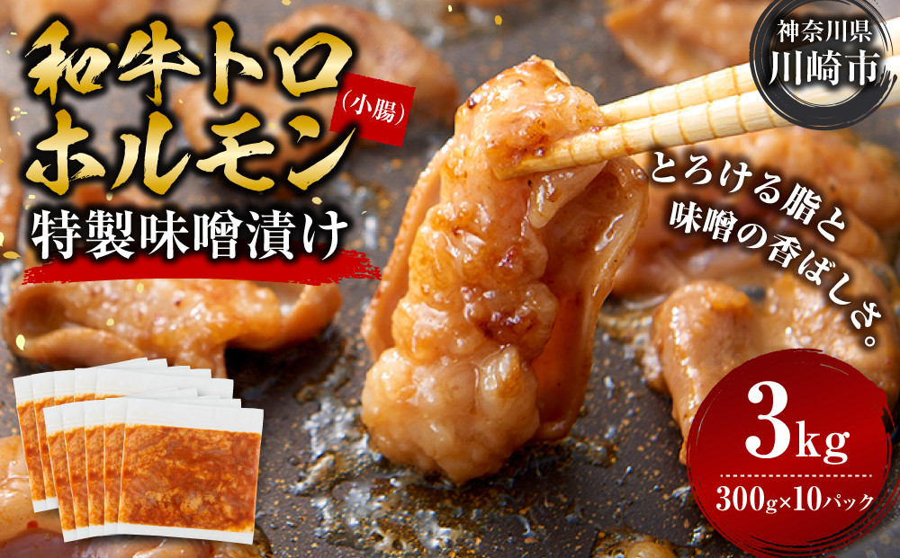 ＜訳アリ＞和牛トロホルモン　特製味噌漬け　3kg(300g×10）【順次発送】 【順次発送】原則1か月以内に発送 3kg ( 300g × 10パック ）