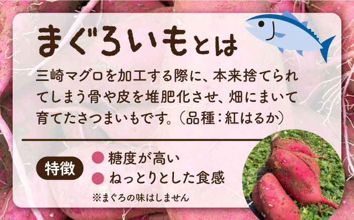 【先行予約】まぐろいもプリン 6個(94.5g×6) 【有限会社たのし屋本舗】 [AKAE024]
