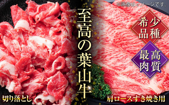 葉山牛満腹セット（肩ロースすき焼用250g×2＋切落し300g×2）計1.1kg 【株式会社羽根】 [AKAG006]