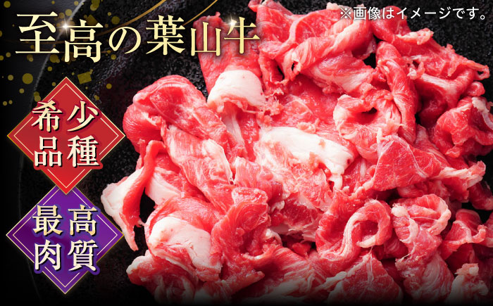 【全3回定期便】葉山牛 切り落とし300g×4パック 計1.2kg【株式会社羽根】 [AKAG033]