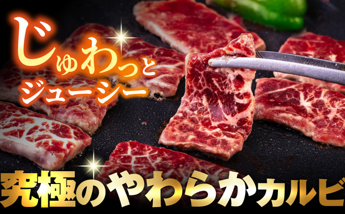 【全6回定期便】牛カルビ 1kg 焼肉用 ギフト ジューシー やわらか 人気 冷凍 バーベキュー BBQ キャンプ アウトドア インジェクション【コロワイドMD神奈川工場】 [AKAH018]
