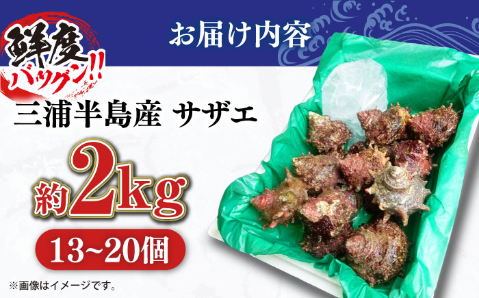 三浦半島 サザエ 中サイズ 約2kg 13～20個 【長井水産株式会社】 [AKAJ005]