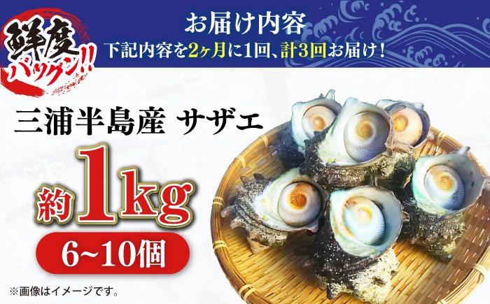 【全3回 隔月 定期便】サザエ 1kg 6～10個 三浦半島【長井水産株式会社】 [AKAJ011]