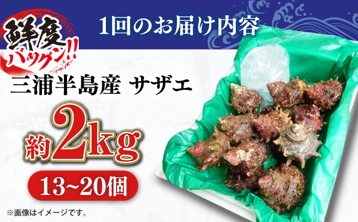 【全3回定期便】サザエ 2kg 13～20個 三浦半島【長井水産株式会社】 [AKAJ012]