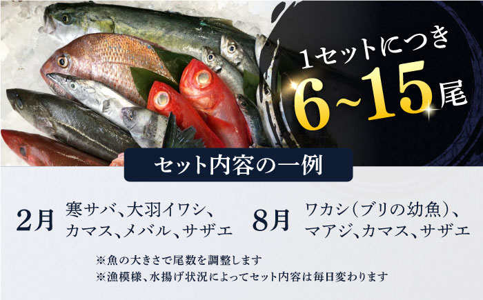 【全6回定期便】旬のおまかせ 厳選鮮魚セット 3～4人前(2～3魚種) 【長井水産株式会社】 [AKAJ016]