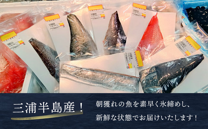 お刺身用 三浦半島の天然地魚 三枚おろし 約1.5kg 刺身 魚 処理済み 下処理済み 三枚おろし　【長井水産株式会社】 [AKAJ028]