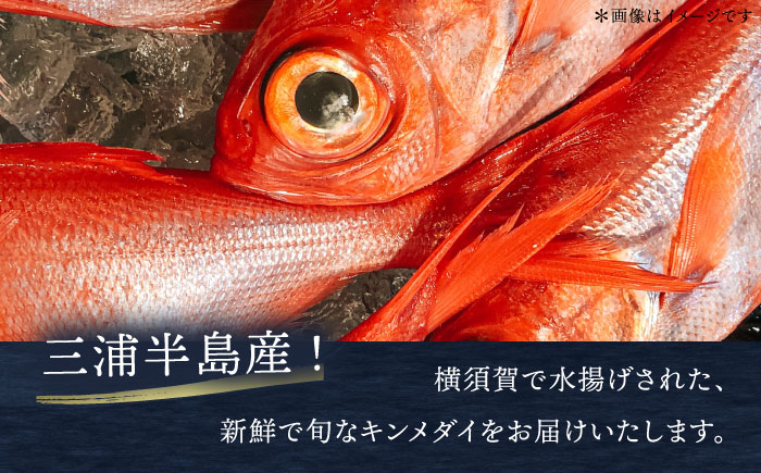 【先行予約】【冬季限定】下ごしらえ済 キンメダイ 約500～800g 鮮魚 処理済み 下処理済み【長井水産株式会社】 [AKAJ029]