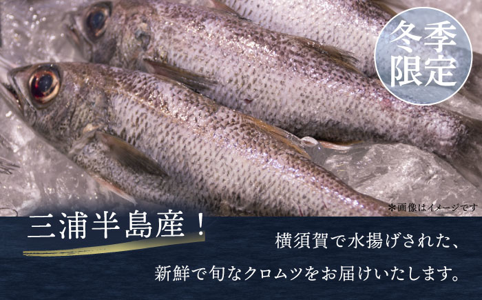【先行予約】【冬季限定】下ごしらえ済 クロムツ 約300～400g　1尾 鮮魚 処理済み 下処理済み【長井水産株式会社】 [AKAJ030]