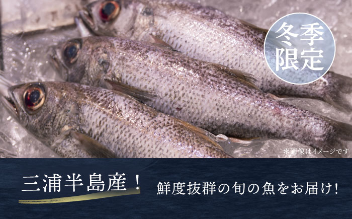【先行予約】【冬季限定】下ごしらえ済 地魚セット 計2尾 鮮魚 処理済み 下処理済み キンメダイ クロムツ メダイ【長井水産株式会社】 [AKAJ032]