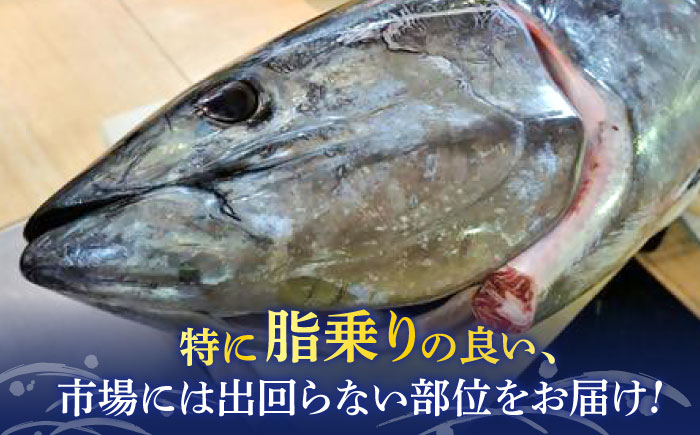 【全6回定期便】まぐろ おまかせバーベキューセット 冷凍約3kg【横須賀商工会議所 おもてなしギフト事務局（本まぐろ直売所 横須賀本店）】 [AKAK033]
