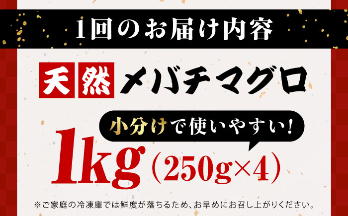 【全6回定期便】まぐろ ねぎとろ 約1kg（約250g×4パック）【横須賀商工会議所 おもてなしギフト事務局（本まぐろ直売所 横須賀本店）】 [AKAK036]