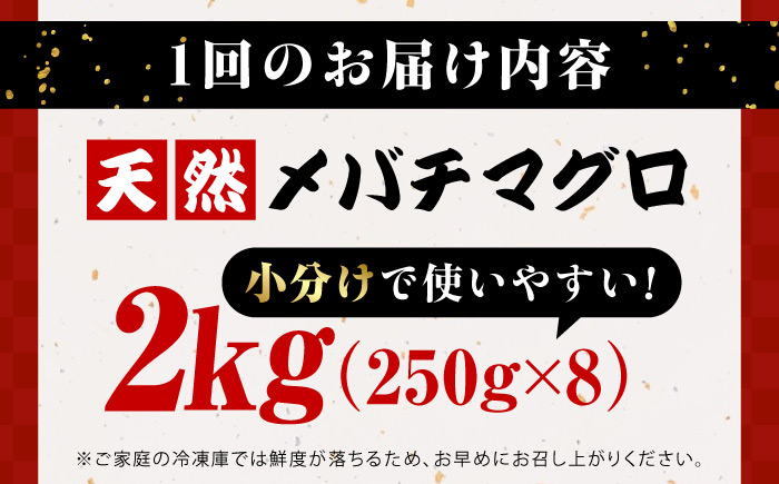 【全3回定期便】まぐろ ねぎとろ 約2kg（約250g×8パック）【横須賀商工会議所 おもてなしギフト事務局（本まぐろ直売所 横須賀本店）】 [AKAK038]