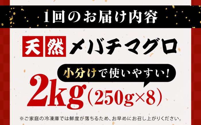 【全12回定期便】まぐろ ねぎとろ 約2kg（約250g×8パック）【横須賀商工会議所 おもてなしギフト事務局（本まぐろ直売所 横須賀本店）】 [AKAK040]