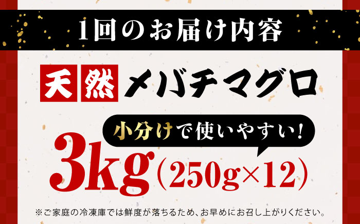 【全6回定期便】まぐろ ねぎとろ 約3kg（約250g×12パック）【横須賀商工会議所 おもてなしギフト事務局（本まぐろ直売所 横須賀本店）】 [AKAK042]