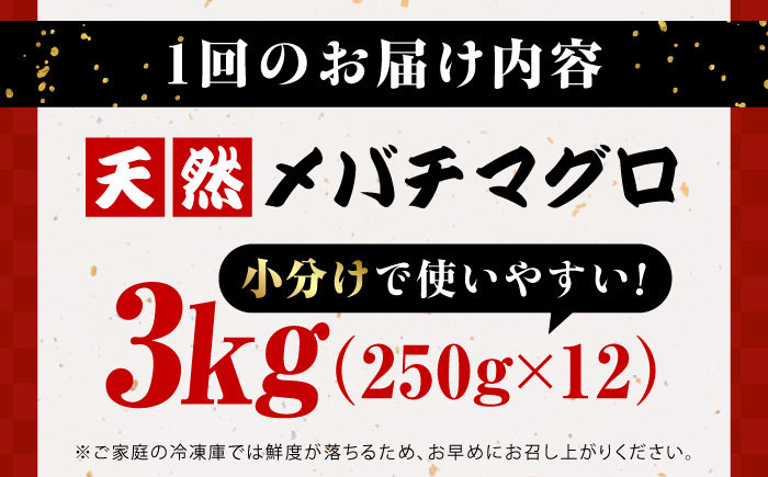 【全12回定期便】まぐろ ねぎとろ 約3kg（約250g×12パック）【横須賀商工会議所 おもてなしギフト事務局（本まぐろ直売所 横須賀本店）】 [AKAK043]