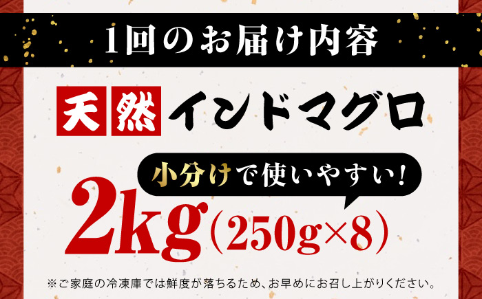 【全6回定期便】天然 まぐろ ねぎとろ 約2kg（約250g×8パック）【横須賀商工会議所 おもてなしギフト事務局（本まぐろ直売所 横須賀本店）】 [AKAK048]