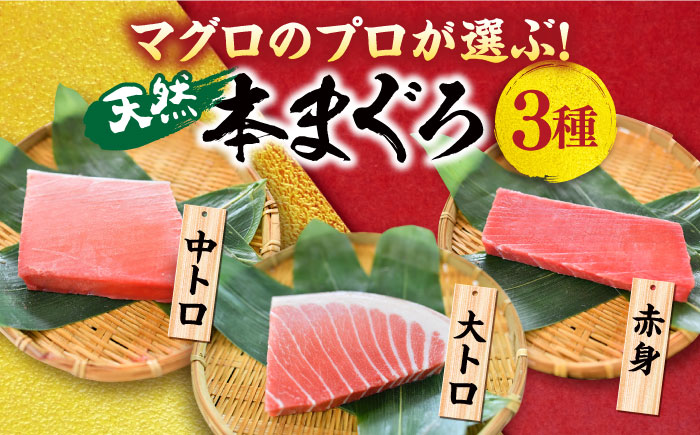 【全3回定期便】天然 本まぐろ 大トロ・中トロ・赤身（約200ｇ×6柵）約1200ｇ 【横須賀商工会議所 おもてなしギフト事務局（本まぐろ直売所 横須賀本店）】 [AKAK077]