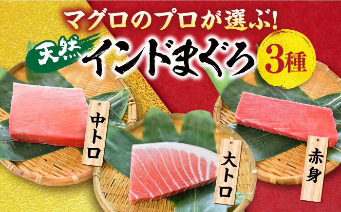 【全12回定期便】天然 まぐろ 大トロ・中トロ・赤身（約200ｇ×3柵）約600ｇ【横須賀商工会議所 おもてなしギフト事務局（本まぐろ直売所 横須賀本店）】 [AKAK082]