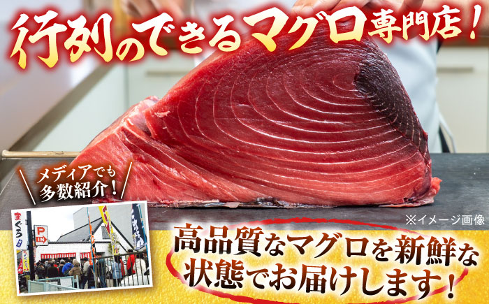 天然 本まぐろ 赤身 計約800g （4柵入り）【横須賀商工会議所 おもてなしギフト事務局（本まぐろ直売所 横須賀本店）】 [AKAK098]