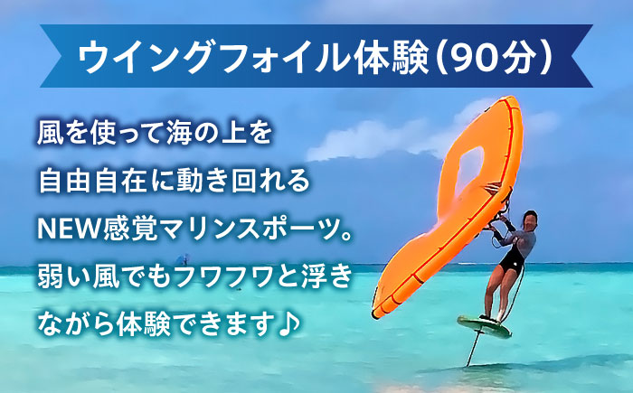 横須賀 津久井浜 Wing Foil (ウイングフォイル) 体験チケット（90分）マリンスポーツ TEARS WINDSURFING SCHOOL【ティアーズウインドサーフィンschool】 [AKAN011]