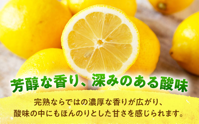 【先行予約】【数量限定20セット】浦賀産 黄色レモン 5kg【ファーマシーガーデン浦賀】 [AKBG002]