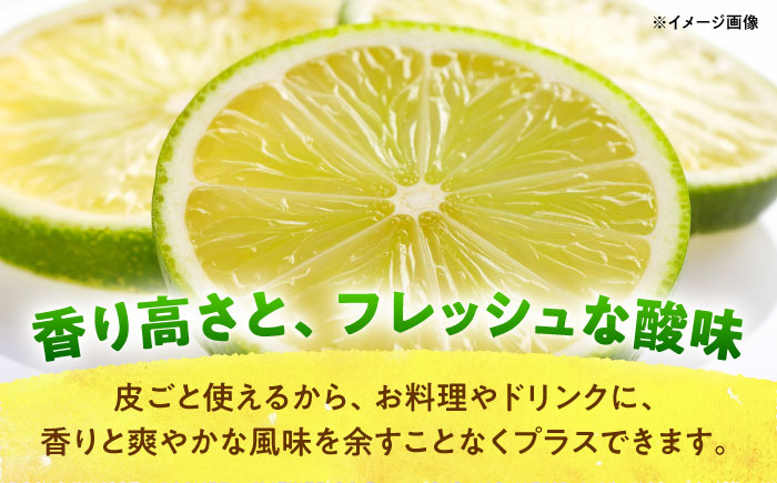 【先行予約】【数量限定20セット】浦賀産 青レモン 5kg【ファーマシーガーデン浦賀】 [AKBG006]
