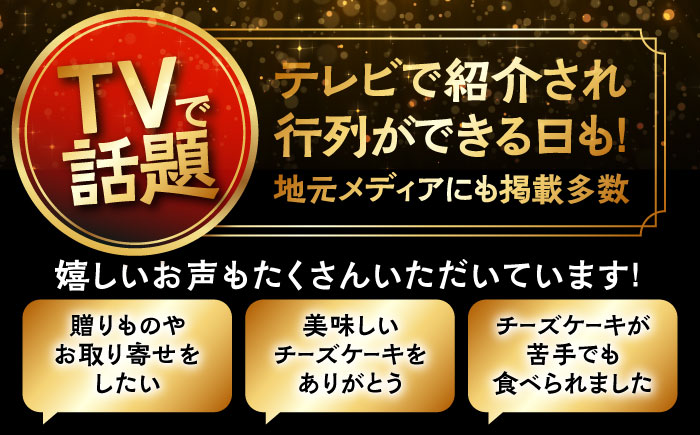 みっちゃんの手作りチーズケーキ ホール2個【横須賀商工会議所 おもてなしギフト事務局（みっちゃんの手作りチーズケーキ）】 [AKBH002]