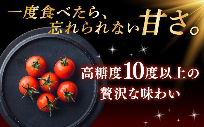 【先行予約】【数量限定】V トマト 糖度10度以上 800g【株式会社ブイ・テクノロジー】 [AKBL005]