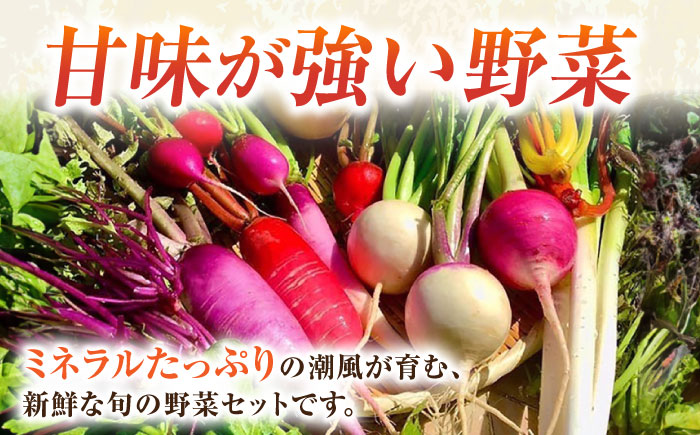 【全６回定期便】すずなり採れたて野菜BOX　(5～7品）【鈴也ファーム】 [AKCE012]