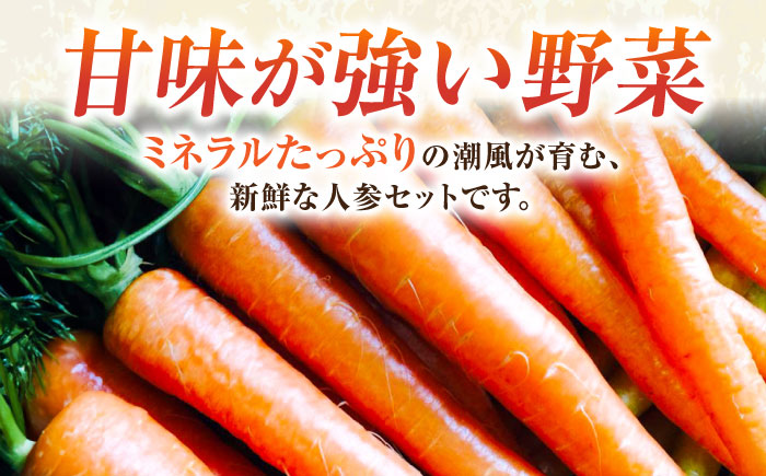 【先行予約】人参セット 約2kg 【鈴也ファーム】 [AKCE013]