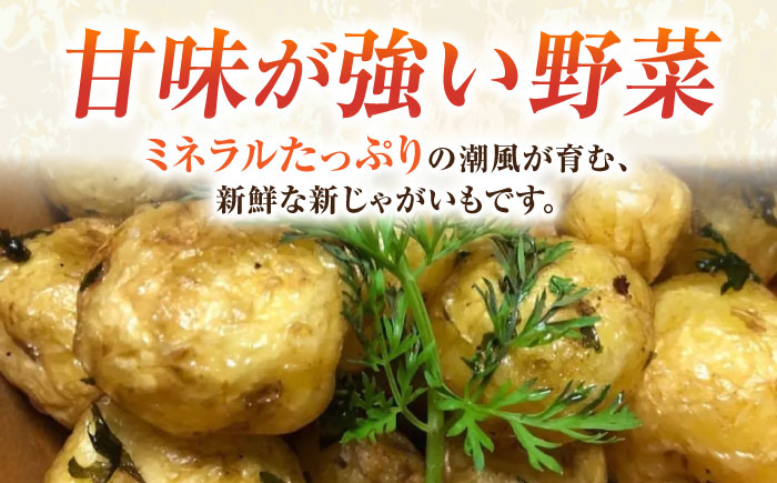 【先行予約】新じゃが きたあかり 約5kg 【鈴也ファーム】 [AKCE021]