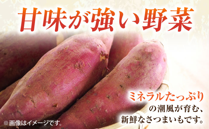 【先行予約】さつまいも 紅はるか 約5kg【鈴也ファーム】 [AKCE025]