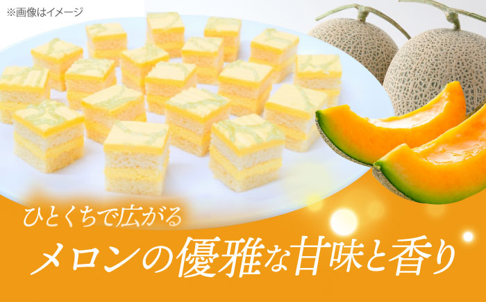 赤肉メロンのケーキ 【ファミール製菓株式会社】 [AKCI025]