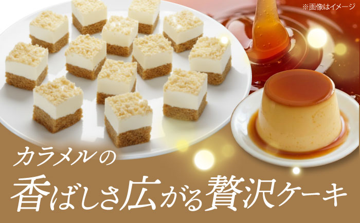 とろっと！プリンムース 【ファミール製菓株式会社】 [AKCI026]