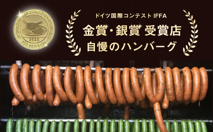 プレミアムハンバーグ 10個 【有限会社横須賀松坂屋】 [AKCY012]