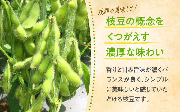 【先行予約】【数量限定100セット】はねっ娘枝豆 3kg（300g×10袋）【有限会社岩崎ファーム】 [AKCZ002]